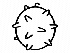 Kiwano, Tropical Delight, Vibrant Color, Unique Texture, Refreshing Taste PNG