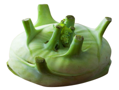 Kohlrabi, Brassica, Crunchy, Vegetable, Green PNG
