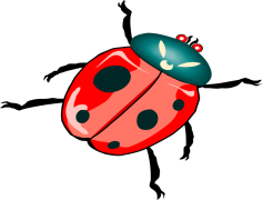 Ladybird Beetle, Nature Ally, Beneficial Insect, Pest Control, Polka Dot PNG