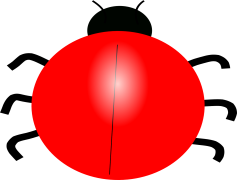 Ladybird Beetle, Pest Control, Insect, Natural Predators, Biodiversity PNG