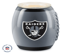 Las Vegas Raiders, Las Vegas Sports, Raiders Nation, Silver And Black, Football Team PNG