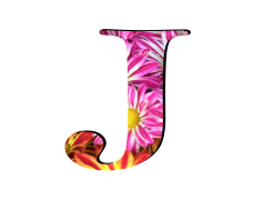 Letter J, Junior, Jigsaw, Justice, Jumble PNG