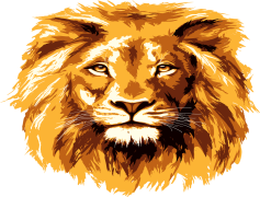 Lion, Predator, King, Territory, Majestic PNG