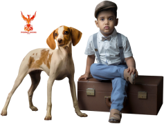 Little Boy And Dog, Nature, Friendship, Joyful, Adventure PNG