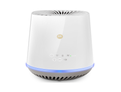 Living Air Purifier, Natural Purification, Eco-Friendly, Plant-Based, Indoor Freshener PNG