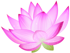 Lotus PNG Clipart