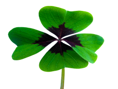 Luck, Fate, Fortune, Destiny, Chance PNG