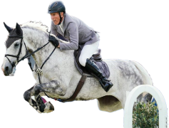 Ludger Beerbaum, Equestrian, Champion, Rider, Germany PNG