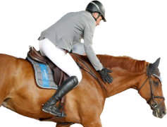 Ludger Beerbaum, Show Jumping, Equestrian, Champion, Olympics PNG