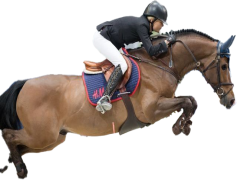 Malin Baryard-Johnsson, Champion, Sweden, Equestrian, Athlete PNG