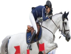 Malin Baryard-Johnsson, Rider, Champion, Sweden, Equestrian PNG