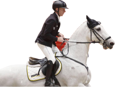 Marcus Ehning, Show Jumping, Rider, Germany, Horses PNG