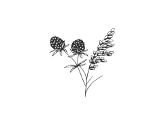 Minimalist Aesthetics Theme, Functional Beauty, Clean Lines, Modern Elegance, Negative Space PNG