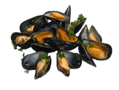 Mussels, Healthy, Gourmet, Culinary, Shellfish PNG