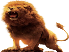 Narnia, Magic, Wardrobe, Snow, Aslan PNG