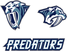 Nashville Predators, Hockey Team, Bridgestone Arena, Ice Sports, Preds Fans PNG