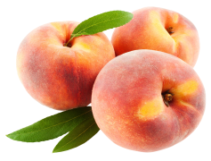 Nectarine, Sweet, Summer, Fruit, Healthy PNG