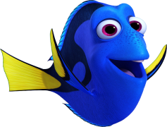 Nemo, Adventure, Family, Friendship, Fish PNG