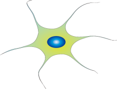 Neuron, Dendrite, Synapse, Neurotransmitter, Brain PNG