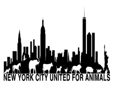 New York Skyline City, Iconic Architecture, Cityscape View, Skyscrapers, Night Lights PNG