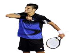 Novak Djokovic, Tennis Champion, Competitive Spirit, Serbian Athlete, Sports Icon PNG