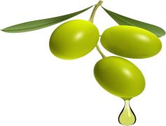 Olive, Mediterranean, Fruit, Oil, Green PNG
