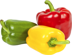 Organic Bell Pepper, Garden Vegetable, Organic Farming, Healthy Eating, Fresh Produce PNG