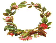 Oval Flower Border Frame, Decorative Frame, Oval Frame, Flower Decoration, Artistic Border PNG