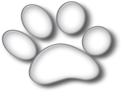Paw Print, Paw Emblem, Paw Outline, Paw Symbol, Paw Shape PNG