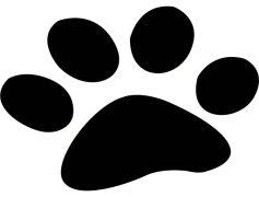 Paws, Styles, Textures, Patterns, Elements PNG