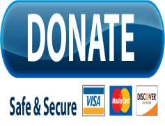 PayPal Donate Button, Charity, Support, Help, Fundraising PNG