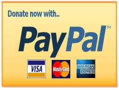 PayPal Donate Button, Fundraising Tool, Charity Support, Secure Payments, Online Donations PNG