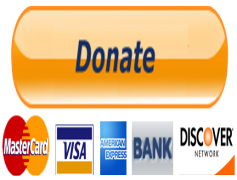 PayPal Donate Button, Generosity, Charity, Online Giving, Nonprofit PNG