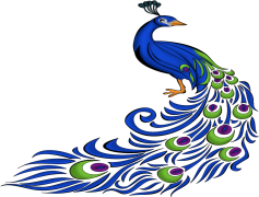 Peacock Logo, Exotic Branding, Vibrant Icon, Majestic Sign, Ornate Representation PNG