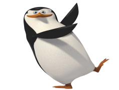 Penguin, Waddle, Cold, Birds, Marine PNG