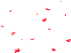 Petal, Nature, Fresh, Bloom, Blossom PNG