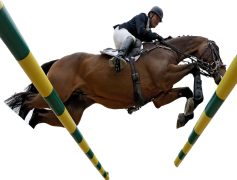 Phillip Dutton, Trainer, Olympian, Equestrian, Eventing PNG