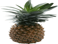 Pineapple No, Snack Avoidance, Palate Refusal, Flavor Opposition, Fruit Reject PNG