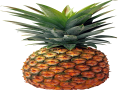 Pineapple, Sweet, Fruit, Refreshing, Healthy PNG