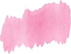 Pink, Blossom, Petal, Coral, Blush PNG