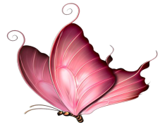 Pink Butterfly, Nature, Beauty, Delicate, Symbolism PNG