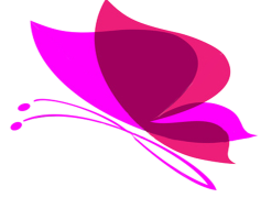 Pink Butterfly Transparent Background