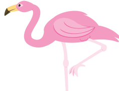 Pink Flamingo Bird Vector, Bird Art, Flamingo Silhouette, Pink Bird, Wildlife Vector PNG