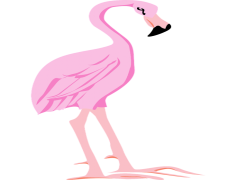 Pink Flamingo Bird Vector, Colorful Flamingo, Tropical Bird, Bird Artwork, Flamingo Silhouette PNG