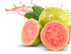 Pink Guava, Sweet Flavor, Tropical Fruit, Refreshing Snack, Exotic Aroma PNG