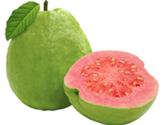 Pink Guava, Tropical Fruit, Health Benefits, Nutrient Rich, Refreshing Snack PNG