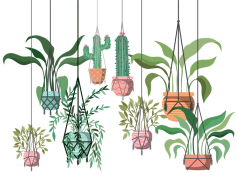Plant Mom Aesthetics Theme, Botanical Decor, Eco-Friendly Living, Indoor Jungle, Plant Care Essentials PNG