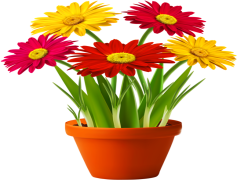 Potted Flowers, Nature Aesthetic, Garden Style, Decorative Pots, Greenery PNG