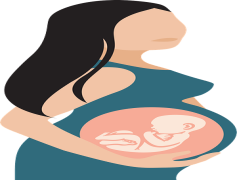 Pregnant Woman Cartoon, Maternal Joy, Parenthood Journey, Expecting Mother, Baby Bump PNG