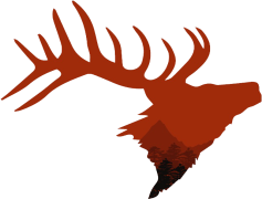 Pronghorn, Wildlife, Adaptation, Speed, North America PNG